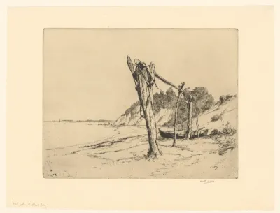 Net Poles: Studland Bay