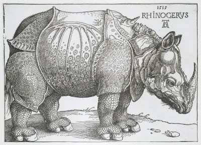 Neushoorn