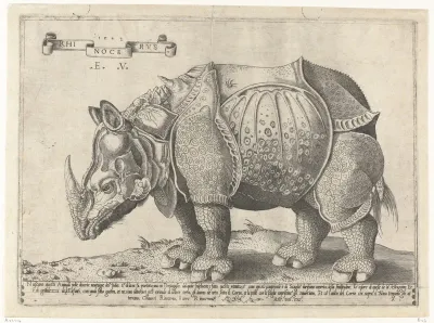 Neushoorn