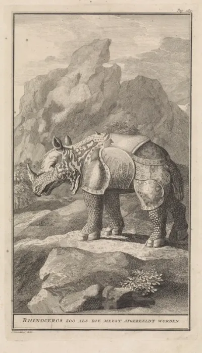 Neushoorn in bergachtig landschap