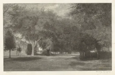 New England Elms