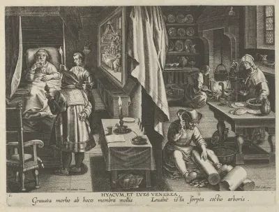New Inventions of Modern Times [Nova Reperta], The Discovery of Guaicum as a Cure for Veneral Infection, plate 6