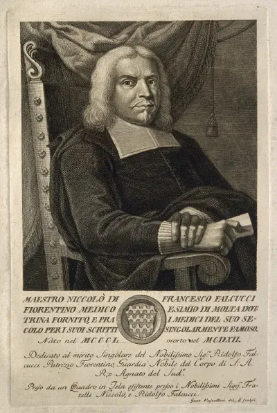 Niccolò Falcucci