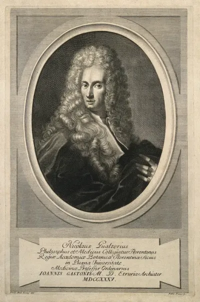 Niccolò Gualteri