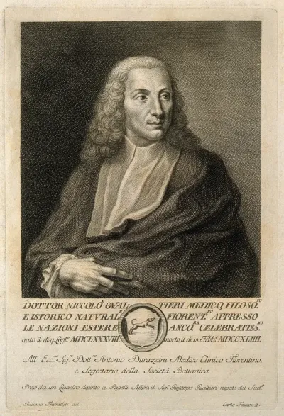 Niccolò Gualteri