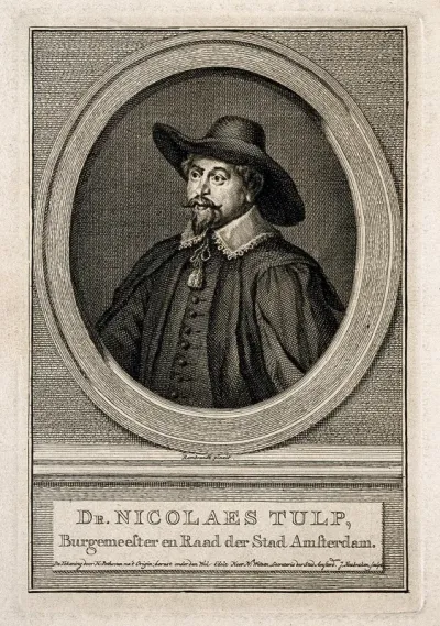 Nicolaus Tulp (Tulpius)