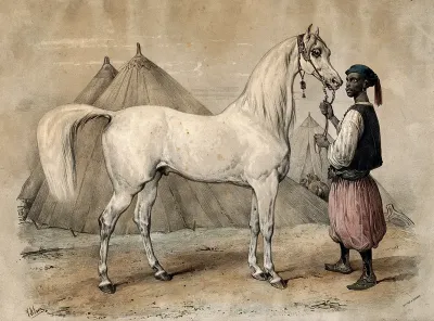 Nidjb, a horse from Muscat (Oman) presented to King Louis Philippe of France, held by an African man