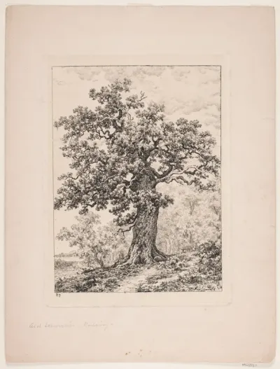 Niels Ebbesens eg. Gyllingnæs skov