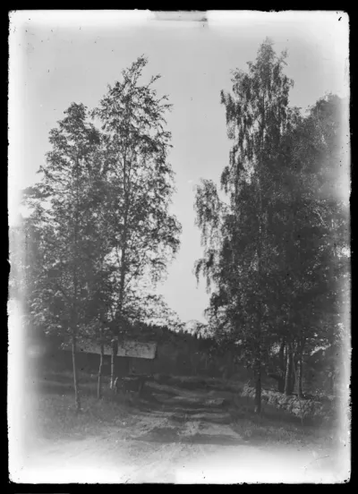 Niemenlautan kartanon paja