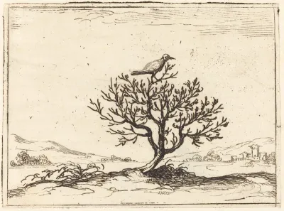 Nightingale in a Bush