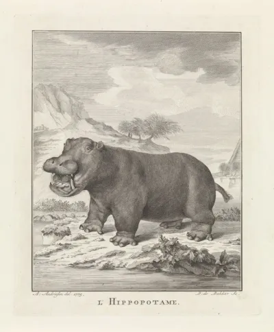 Nijlpaard