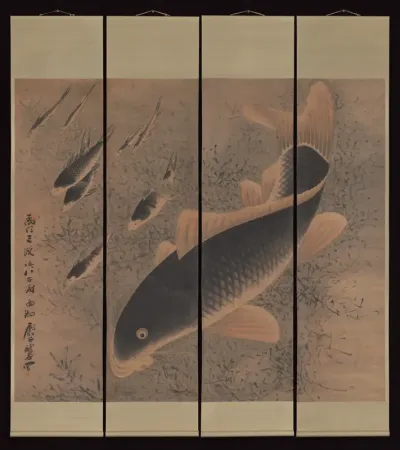 Nine carp