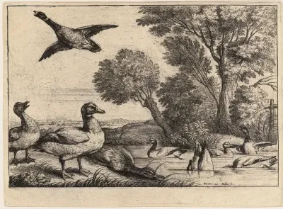 Nine Ducks (State 2)