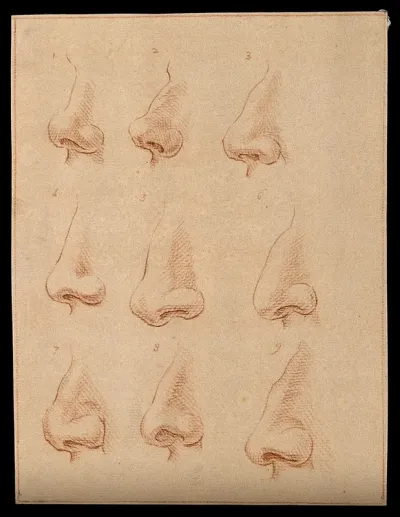Nine noses. Drawing, c. 1794