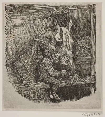 Nissen i Tirup fodrer den hvide hoppe