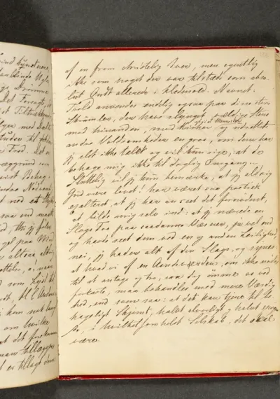 Nissen og Trolden. Dagbog. Side 133