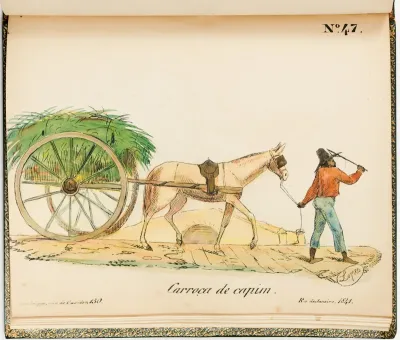 Nº 47 Carroça de capim
