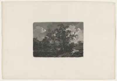 Nocturnal Landscape