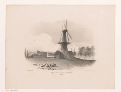 Noordmolen in Schiedam