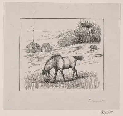 Nordbakke