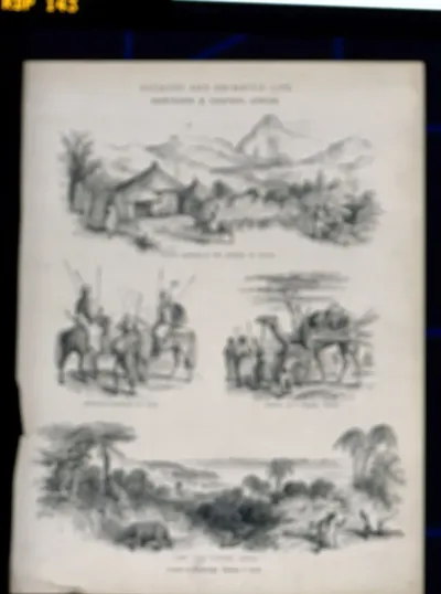 Northern and central Africa: indigenous peoples, landscapes and animals