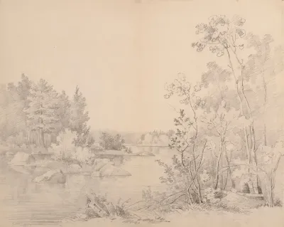 Norwegian Fell Landscape