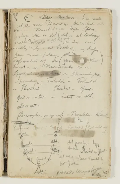 Notater om Newton[?], Darwin og moral. Desuden definition på den "Menneskelige Kemi" samt et diagram over samme, hvor der modstilles begreber som menneske - eet, spænding - alt, forhold - intet, skønhed - gud