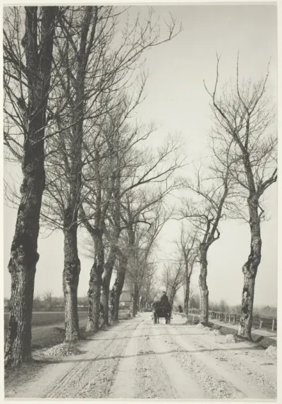 November Days