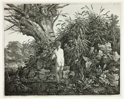 Nymph in a Marshy Woodland