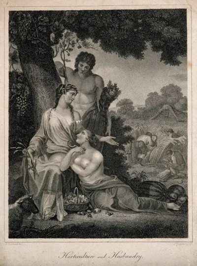 Nymphs in a field among cornucopias; workers scythe wheat; representing horticulture and agriculture
