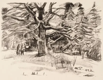 Oak