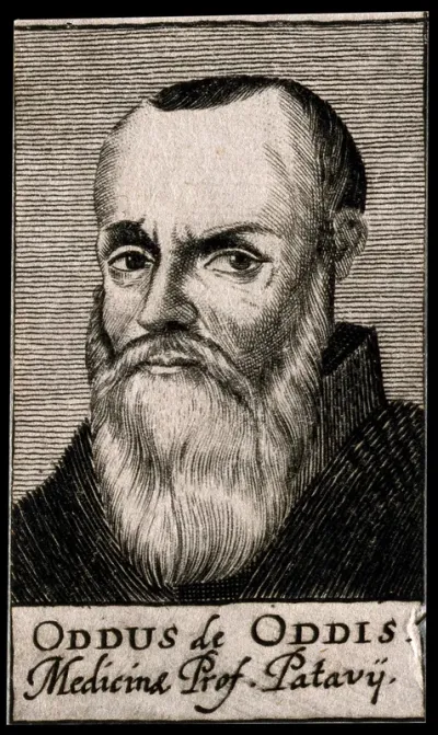 Oddo degli Oddi