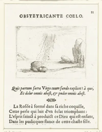 Oester op een strand