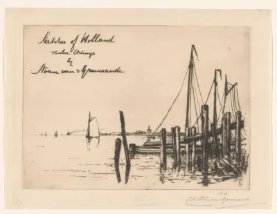 Oever van de Schelde