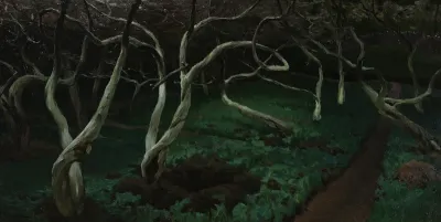 Old apple trees.