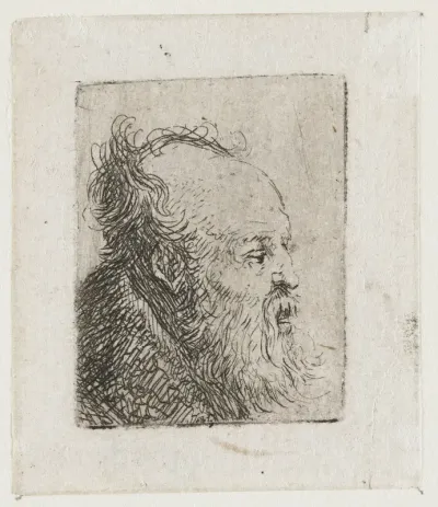 Old Bearded Man, with Mouth Half Open