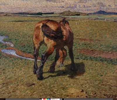 Old Mare