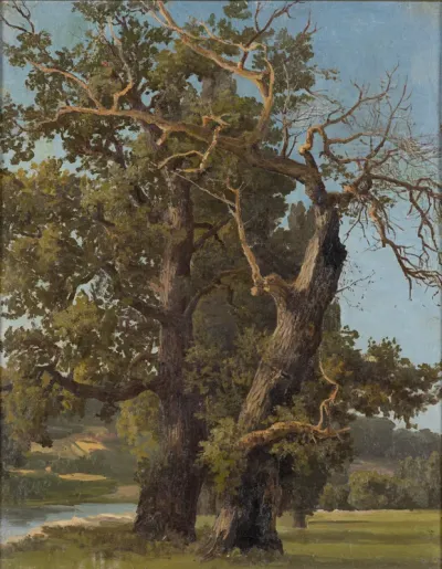 Old Oaks