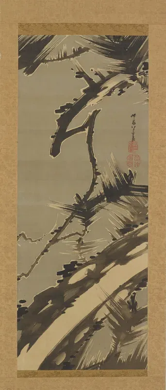 Old Pine