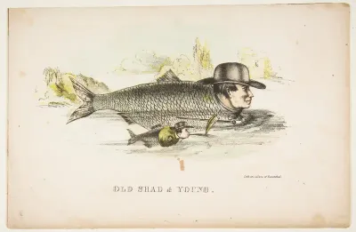 Old Shad & Young, from "The Comic Natural History of the Human Race"