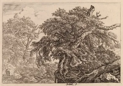 Old tree