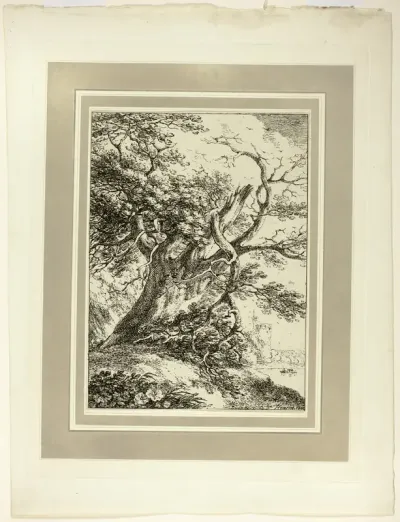 Old Tree, from the first issue of Specimens of Polyautography