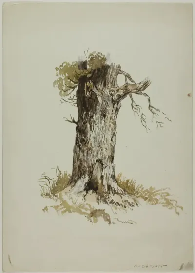 Old Tree Trunk (recto); Old Tree Trunk (verso)