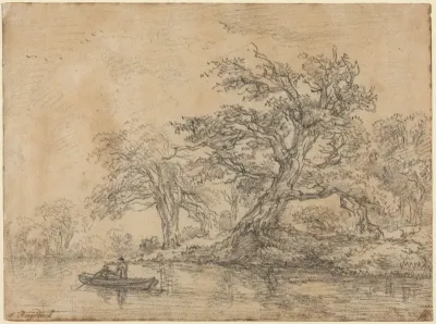 Old Trees along a Bank