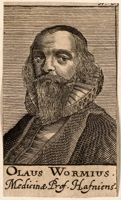 Ole Worm. Line engraving, 1688