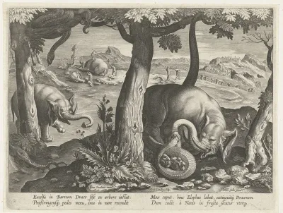 Olifant in gevecht met slang