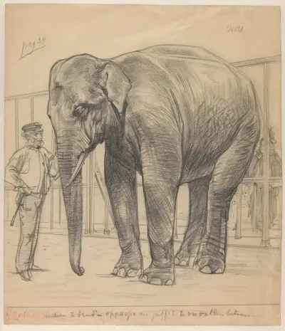 Olifant in verblijf met oppasser