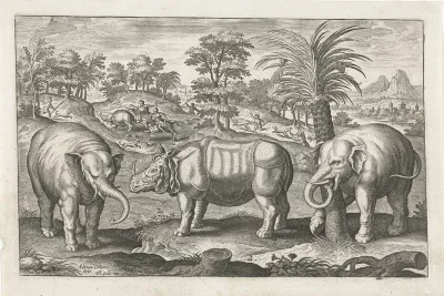 Olifanten en neushoorn