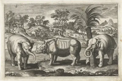 Olifanten en neushoorn