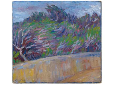 Olive tree, wall, wind